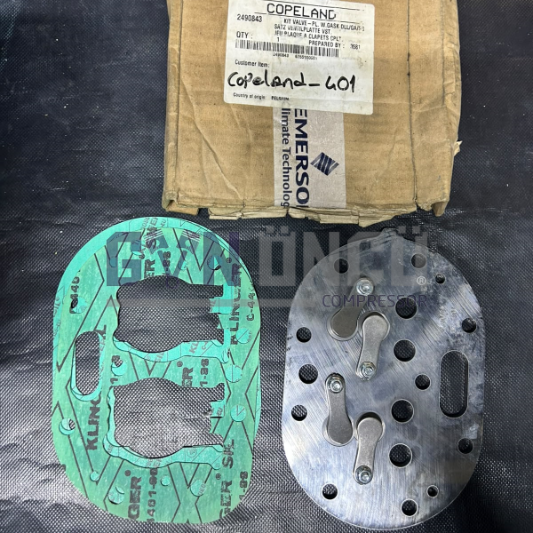 VALVE PLATE KİT